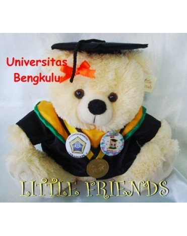 Boneka Wisuda Universitas Bengkulu - Teknik Pangan (30 cm)